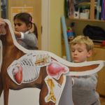 Vet visit to Oxford House 24