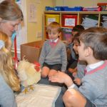 Vet visit to Oxford House School 11