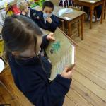 DSC03780 (2)
