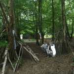 IMG-20220523-WA0004