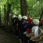 IMG-20220524-WA0004