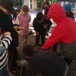IMG-20220524-WA0010