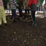IMG-20220524-WA0013