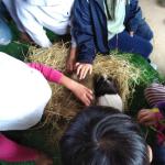 IMG_20220516_124425