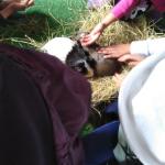 IMG_20220516_124644