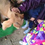 IMG_20220516_124809