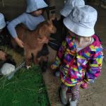 IMG_20220516_125004