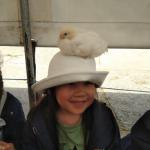 IMG_20220516_133523
